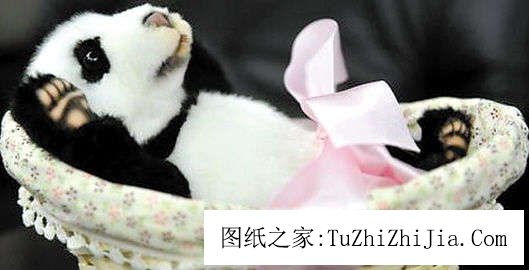 家居風(fēng)景：窗臺擺上美好愿望