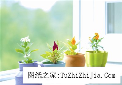 哪些風(fēng)景容易讓老公有外遇？