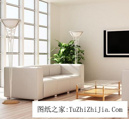 哪些家居擺設(shè)最不利于健康？