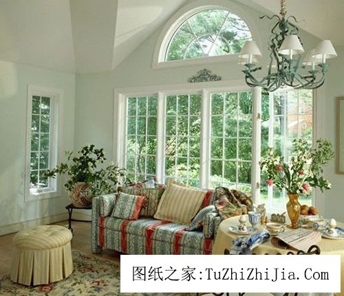 客廳放置的植物也會破壞風(fēng)景