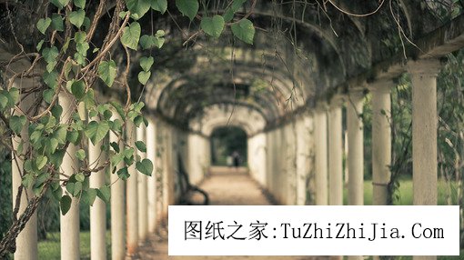 讓你家財(cái)萬貫的院落風(fēng)景