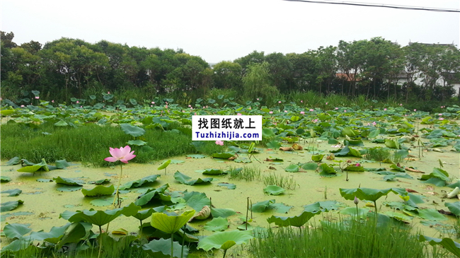 為父母，為自己退休后的養(yǎng)老打造一個舒適的鄉(xiāng)間農院！