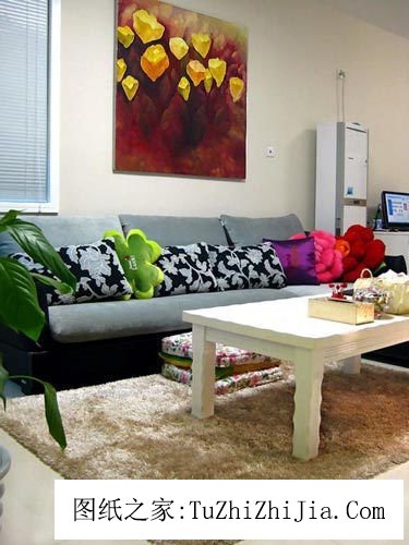 養(yǎng)狗家居風景也很重要 千萬不能忽視(圖)