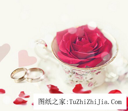 婚禮喜慶風(fēng)景宜忌 新房咋布置？