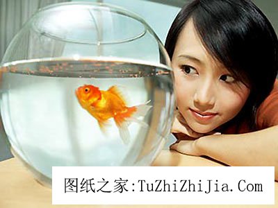 客廳養(yǎng)魚風(fēng)景有禁忌 養(yǎng)魚要擇日黑色的魚更旺財(cái)