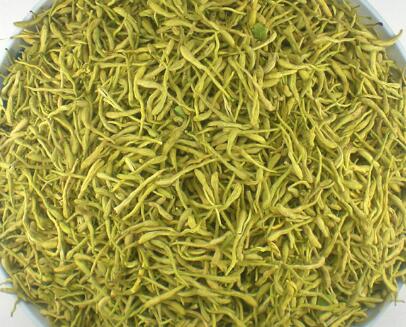 金銀花的功效與作用?金銀花的花語？【圖】