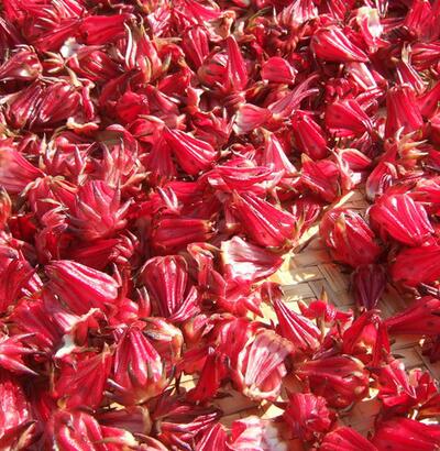 洛神花能減肥嗎？洛神花食用正確的方法【圖】