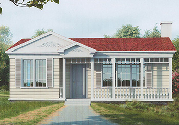 農村一層房屋設計圖紙，帶外觀效果圖