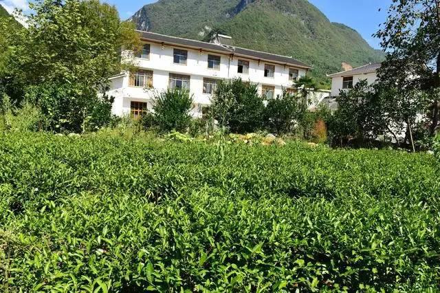 20萬建造的農(nóng)村小別墅-竟然比城市里面的好看！