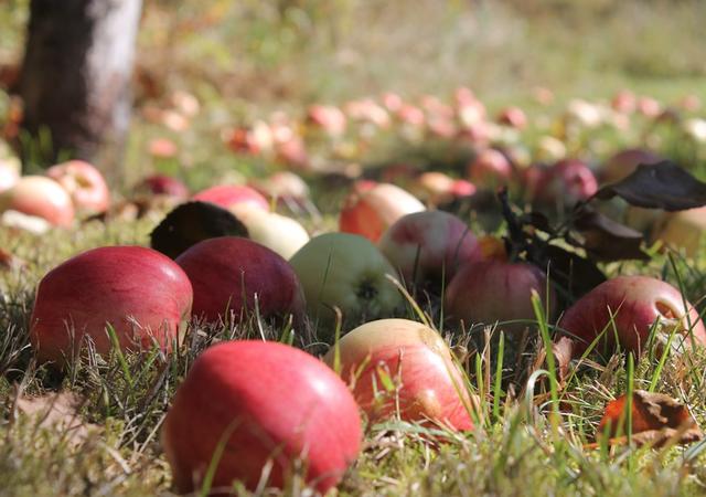 鄉(xiāng)村別墅設(shè)計與農(nóng)村別墅設(shè)計，差距不止有6點！