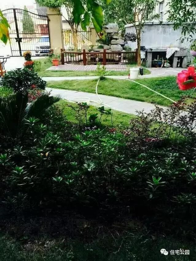 朋友曬美宅，96萬建流水花園別墅、舒適庭院！要多沒有多美！