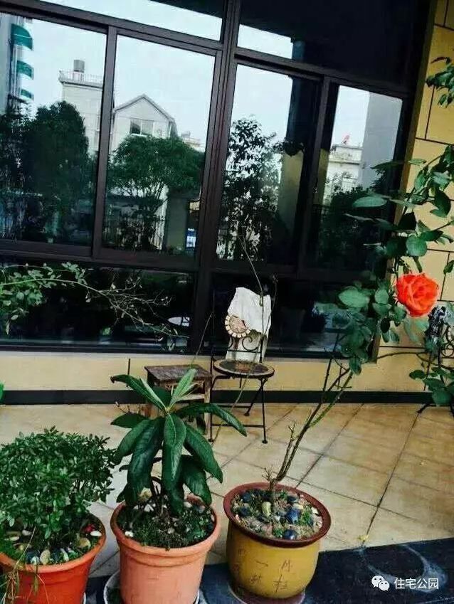 朋友曬美宅，96萬建流水花園別墅、舒適庭院！要多沒有多美！