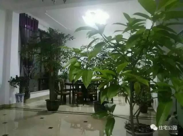 朋友曬美宅，96萬建流水花園別墅、舒適庭院！要多沒有多美！