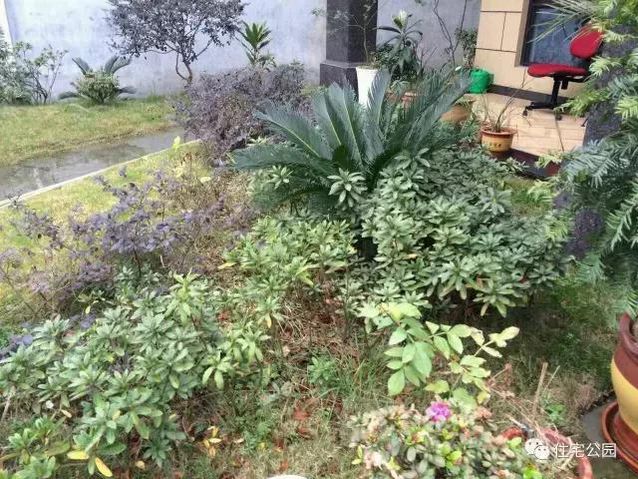 朋友曬美宅，96萬建流水花園別墅、舒適庭院！要多沒有多美！