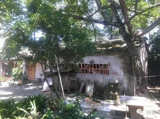 建別墅還是新中式的好，古樸大氣品位高！網(wǎng)友實(shí)拍