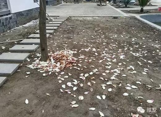 建別墅還是新中式的好，古樸大氣品位高！網(wǎng)友實(shí)拍