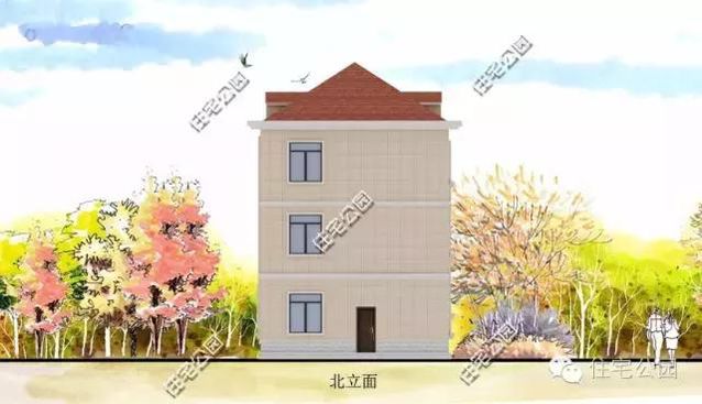 8米的面寬怎樣建獨(dú)棟小別墅？還帶有挑空客廳、大露臺(tái)