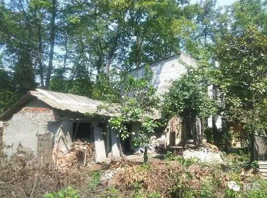 建房還是新中式的好，古樸大氣品位高！網(wǎng)友實(shí)拍