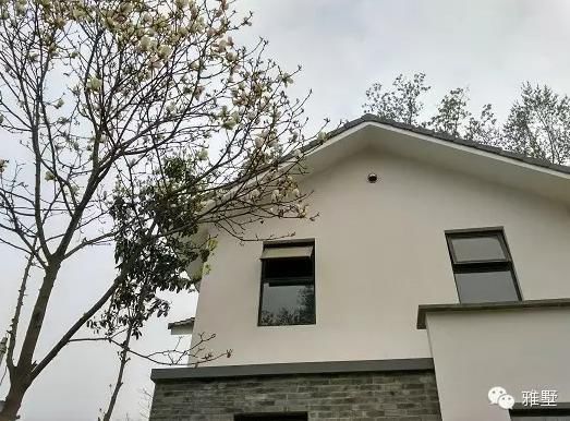 建房還是新中式的好，古樸大氣品位高！網(wǎng)友實(shí)拍