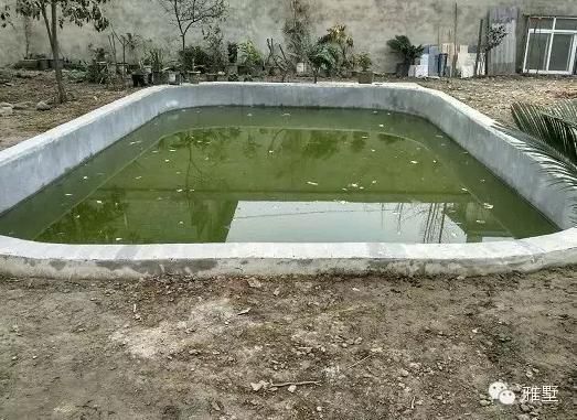 建房還是新中式的好，古樸大氣品位高！網(wǎng)友實(shí)拍