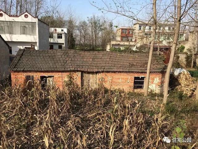 80后小伙千里歸家建新房，力求完美換掉施工隊，只是為了面子？