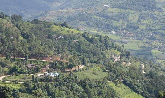 云南35歲單身劉先生。你媽喊你回家建別墅了!