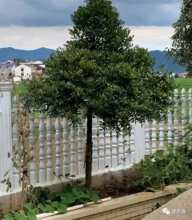 百萬自建三層農(nóng)村別墅設(shè)計方案，建成后是村里最好的！