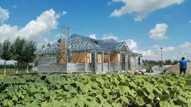 北方農(nóng)村自建單層小別墅設(shè)計圖，美到不能呼吸！