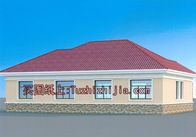 農(nóng)村200平一層別墅房屋設(shè)計圖，外觀圖片時尚、漂亮