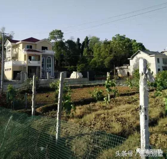實(shí)拍農(nóng)村三層經(jīng)典別墅實(shí)景圖，美極了