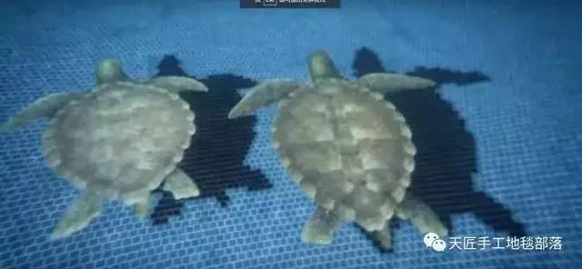 全球頂級豪宅圖片，有錢都不一定能買到