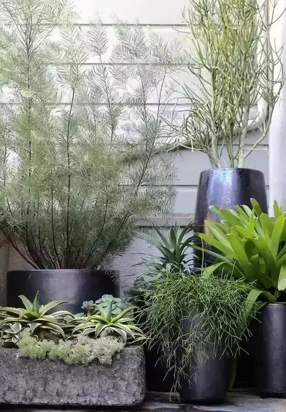 打造個(gè)漂亮的別墅庭院，才能有別墅的樣子