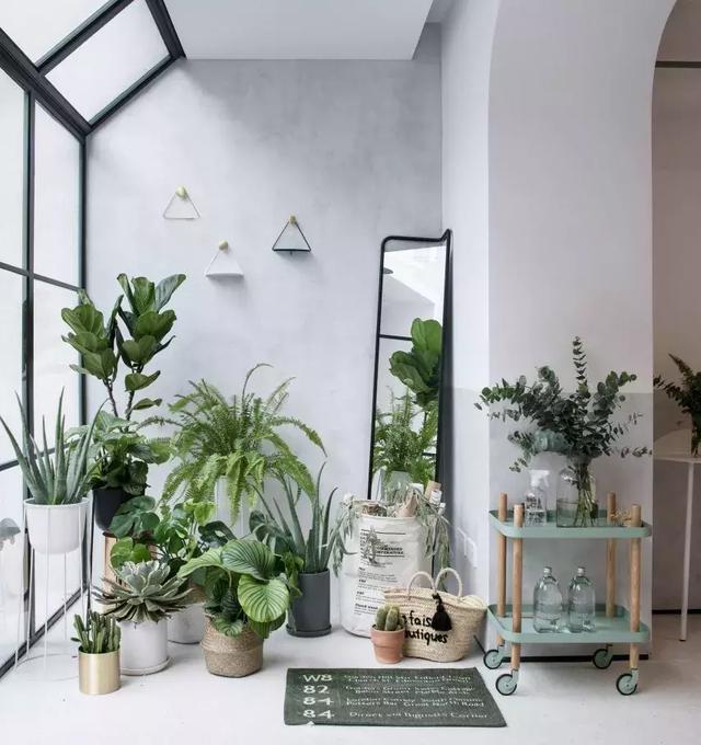 上海舊房改造實(shí)拍，搖身一變成清新別墅