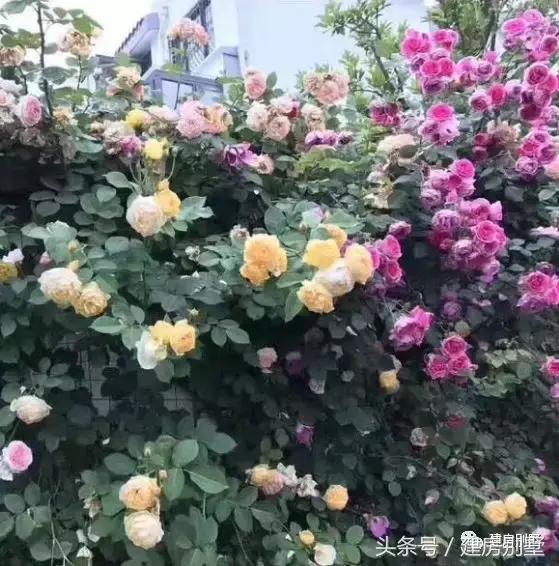 農(nóng)村簡單二層住宅實(shí)拍圖，附室內(nèi)裝修，造價低