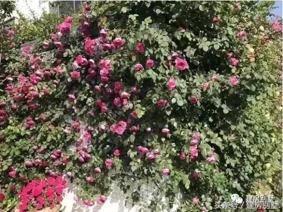 農(nóng)村簡單二層住宅實(shí)拍圖，附室內(nèi)裝修，造價低