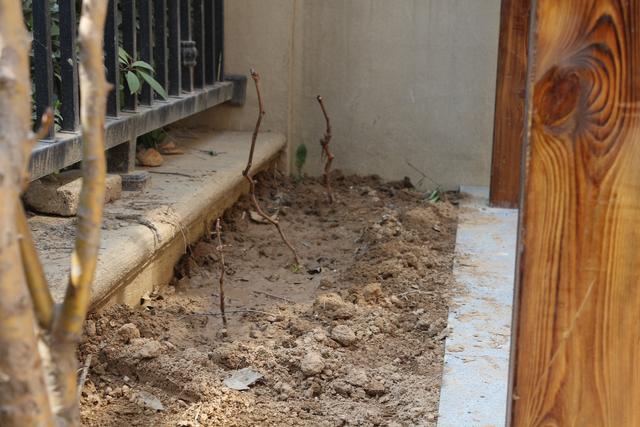 美式別墅豪宅裝修設(shè)計方案圖片，還帶小院子