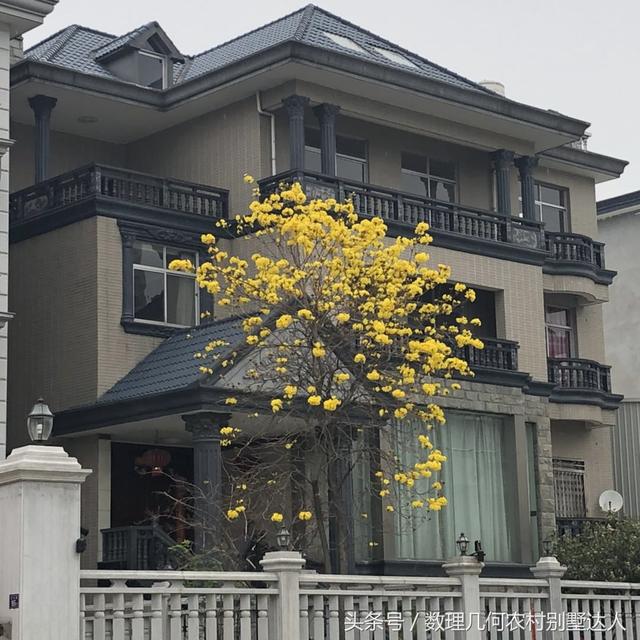 新農(nóng)村自建的3層樓房，在城市1000萬都買不到