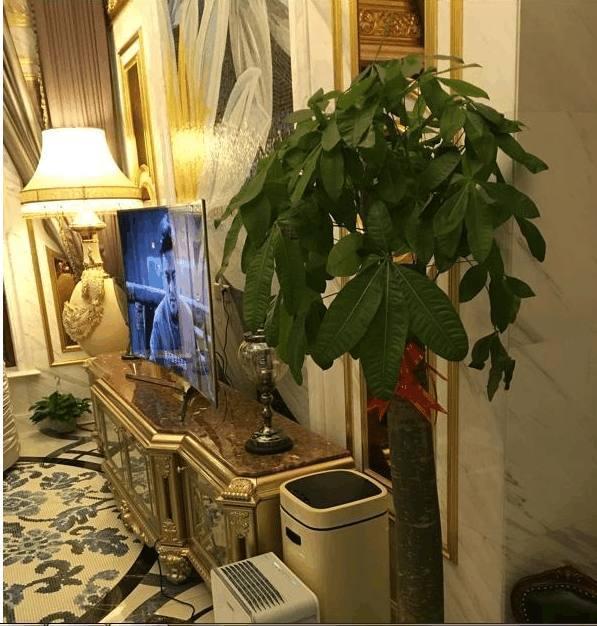 這才是有錢人家的別墅，裝修就花了二百萬(wàn)