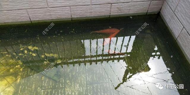 湖南農村蓋別墅過程實拍，附方案圖和建好實景照片