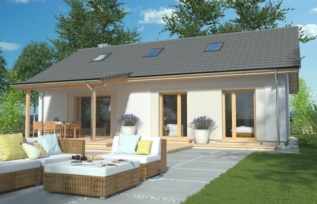 一層坡屋頂平房住宅設(shè)計(jì)效果圖，簡(jiǎn)單、現(xiàn)代