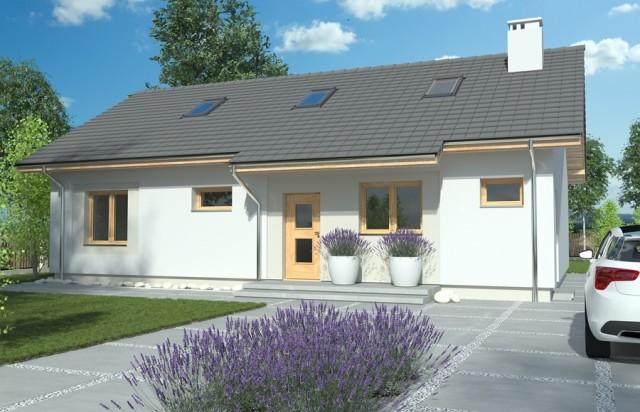 一層坡屋頂平房住宅設(shè)計(jì)效果圖，簡(jiǎn)單、現(xiàn)代