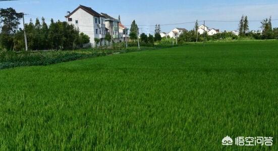 已經(jīng)建好的農(nóng)村自建房沒(méi)手續(xù)怎么辦？