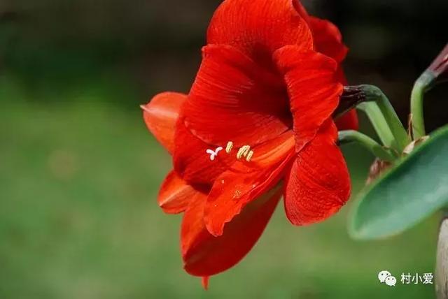 24x14m歐式鄉(xiāng)村別墅設計方案圖，高端、大氣