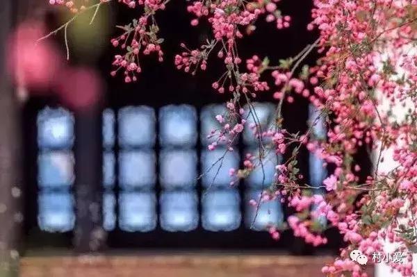 24x14m歐式鄉(xiāng)村別墅設計方案圖，高端、大氣