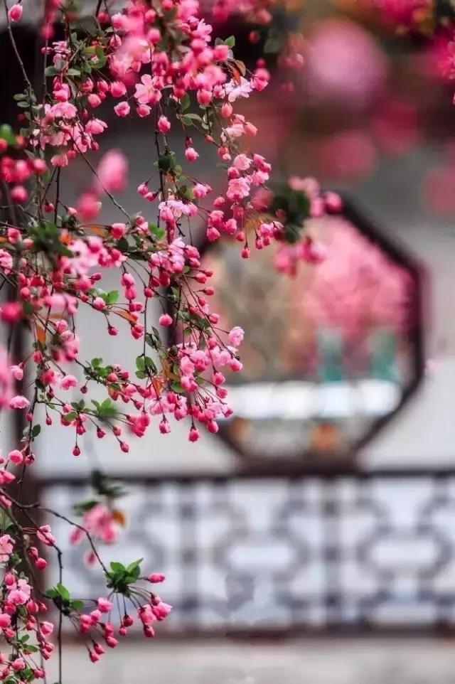 24x14m歐式鄉(xiāng)村別墅設計方案圖，高端、大氣