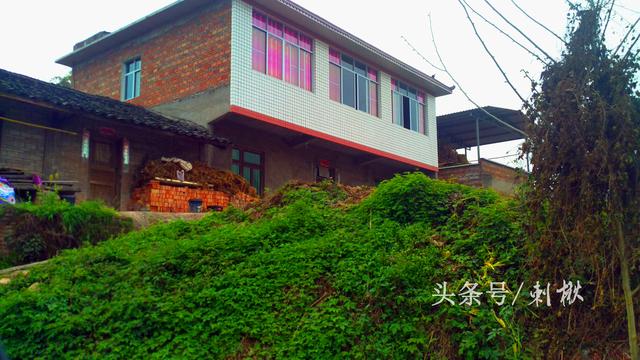 2024年農(nóng)村宅基地賣給外地人，還能收不回來嗎