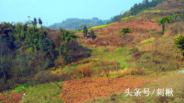 2025年農(nóng)村自建房用地審批手續(xù)要這樣辦