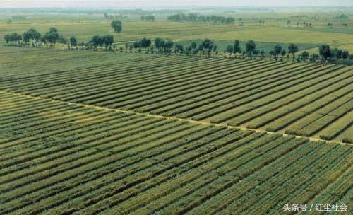 農(nóng)民朋友要注意，這些地方不能隨意自建房