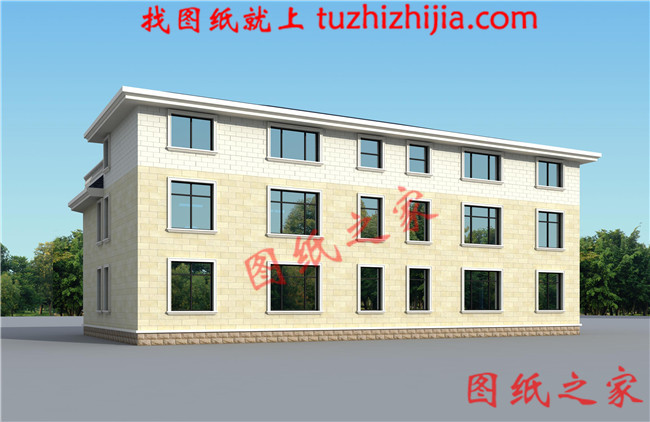 農(nóng)村二層半雙拼別墅設(shè)計圖，客廳中空，帶大露臺