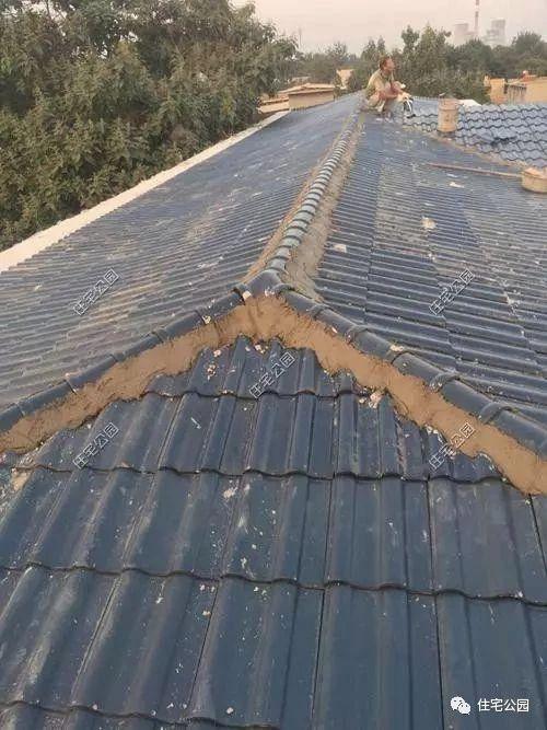 河北農(nóng)村蓋別墅直播，羨慕死城里人